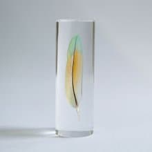 鳥類羽毛標本 桃面牡丹鸚鵡 (綠橘)