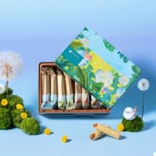 青鳥旅行 | 2025 蒲光漫舞-經典蛋捲禮盒 16 入