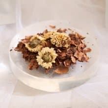 莊園可可茶包 15入超值分享組 | 100% 台灣屏東在地原料 低卡