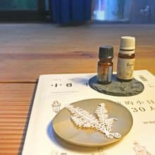 蕨類標本紙雕 - 腎蕨| 紙雕 書籤 蕨類 植物 文具 母親節 禮物