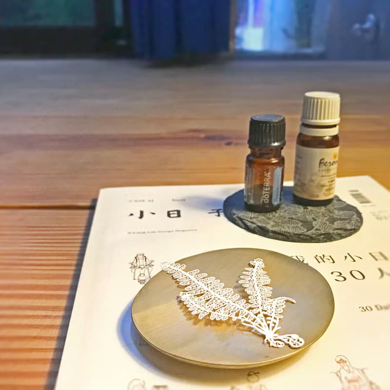 蕨類標本紙雕 - 腎蕨| 紙雕 書籤 蕨類 植物 文具 母親節 禮物