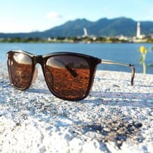 2is DanC 太陽眼鏡 │百搭方框│咖啡色│抗U