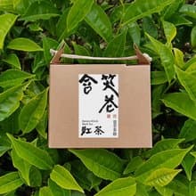 含笑花紅茶 | 茶包10入【清甜花香】