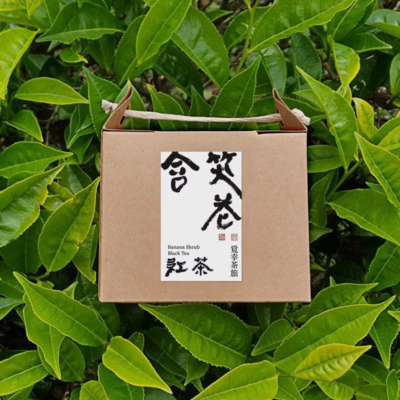 含笑花紅茶 | 茶包10入【清甜花香】