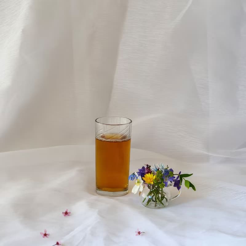 含笑花紅茶 | 茶包10入【清甜花香】