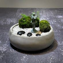 自然苔玉美學 –晚燈