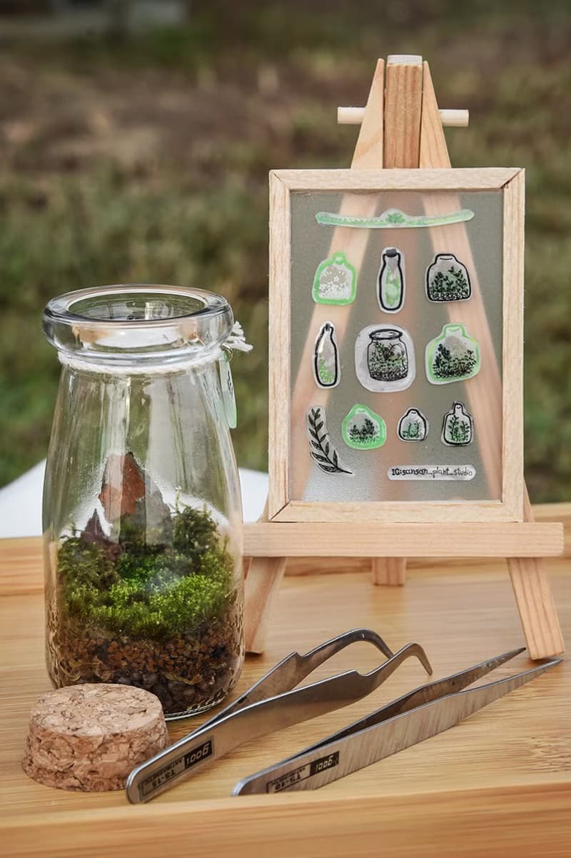 苔蘚生態瓶(小) DIY材料包+教學說明書