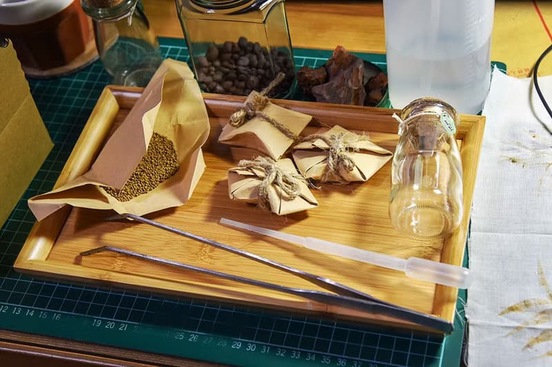苔蘚生態瓶(小) DIY材料包+教學說明書