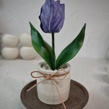鬰金香皮革盆栽 送禮