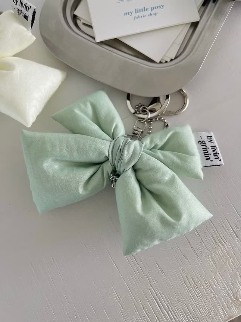 double ribbon keyring_pastel green