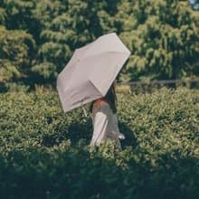 Yoreh x hellome 晨曦初雨限定晴雨傘