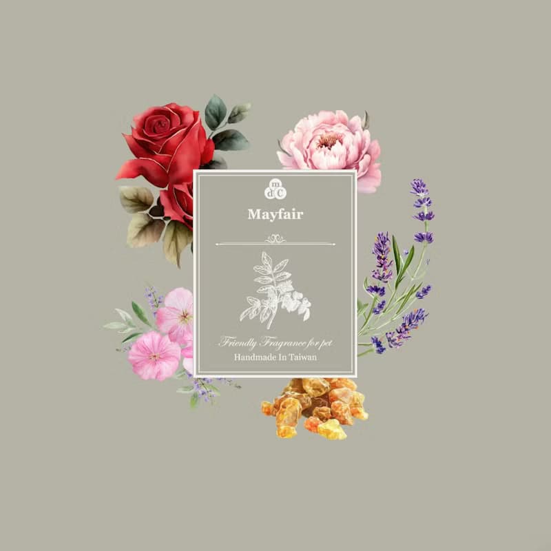 天然精油-寵物友善香氛精油-梅費爾 (沉穩木質調) 熱銷第一-20ml