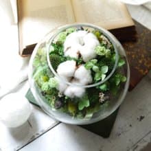 青翠泡泡.森林青草色系.生日情人節乾燥花禮物