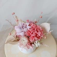 櫻粉康乃馨永生花盆花桌花|生日開幕店面佈置七夕情人節花束中秋