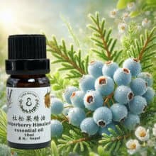 天然純精油 杜松果精油 100%單方精油 10ml 50ml  贈精美擴香石