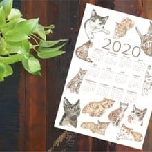 2020蘭嶼小島貓年曆