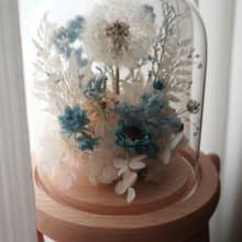 【 送禮.佈置 】蒲公英鳥兒玻璃罩。永生花乾燥花