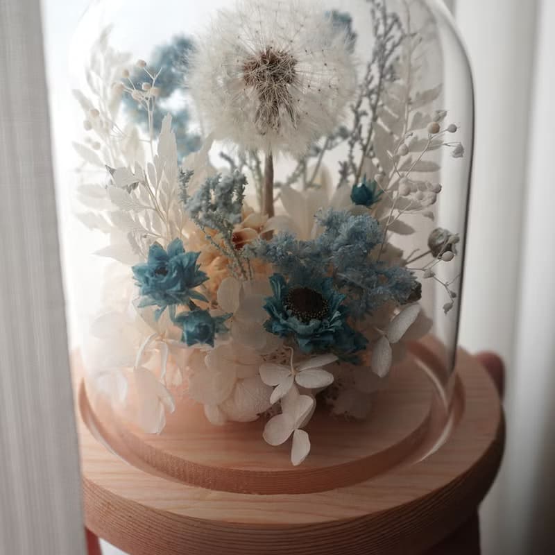 【 送禮.佈置 】蒲公英鳥兒玻璃罩。永生花乾燥花