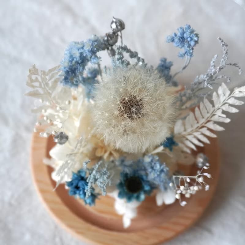 【 送禮.佈置 】蒲公英鳥兒玻璃罩。永生花乾燥花