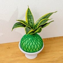 苔球植物 美葉虎尾蘭嫩綠苔球加磨砂高腳缽 苔球 苔玉 禮物