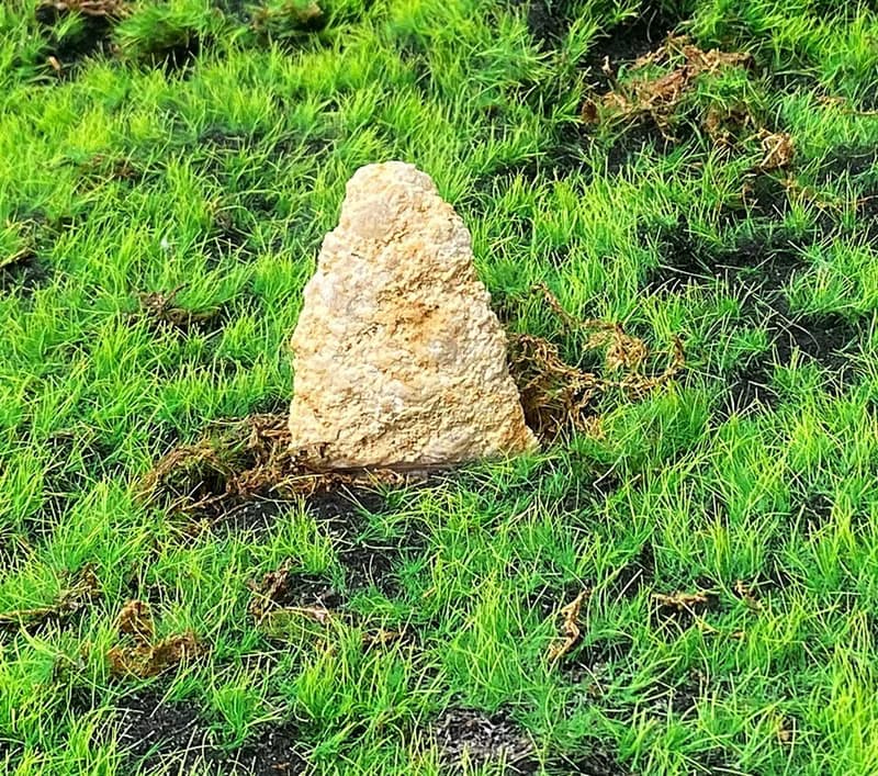 天然原礦可愛晶瑩剔透瑪瑙白水晶片 消磁淨化 療癒 開運 快速出貨