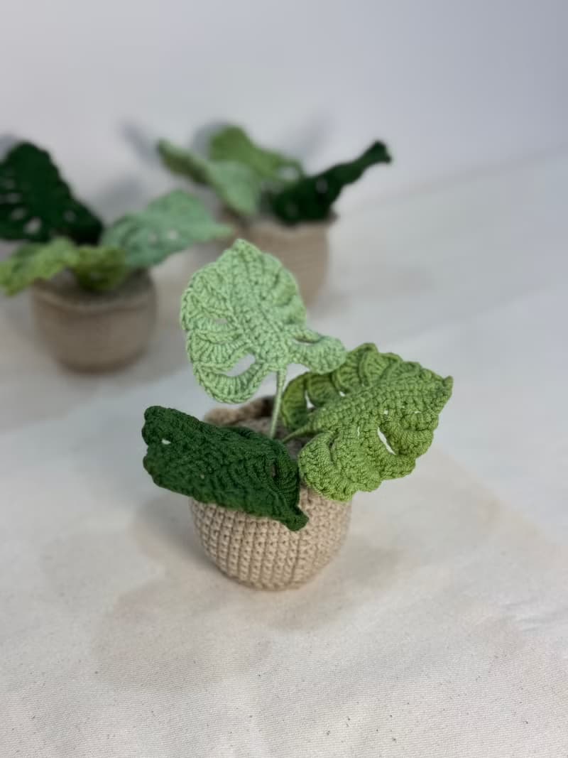 綠植系列 - 龜背芋