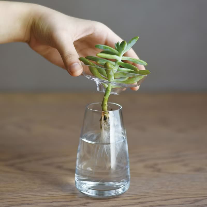 PINKOI限定【超值組合】日本KINTO AQUA 玻璃花瓶組 / 大+小