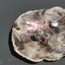 925純銀 貝殼造型 戒指 I 維納斯的誕生