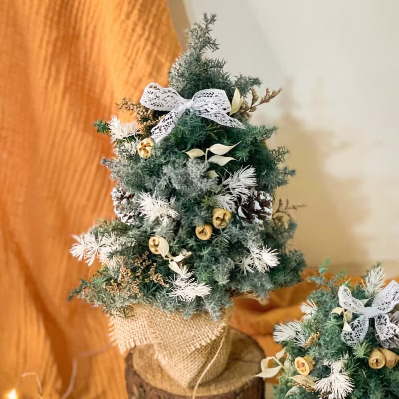 桌間熹微晨光 x 不凋雪松聖誕樹