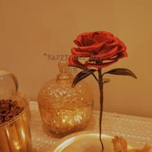 僅欣賞小王子的玫瑰花纏花永生花聖誕節情人節送禮特別裝飾