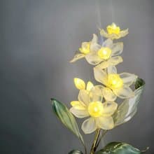 水仙花•沾浸藝術花燈【閒逛花間系列】。小夜燈。生日禮物
