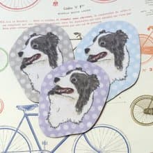 邊境牧羊犬-大頭杯墊-不織布吸水杯墊~