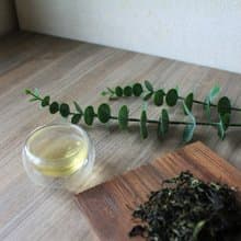 三峽碧螺春 | 豐富兒茶素 | 台灣特色茶 | 三峽茶區 | 清新原茶香