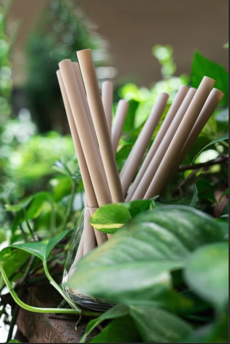 台灣茶吸管 環保吸管 自然分解吸管-Taiwan Tea Fiber Straw