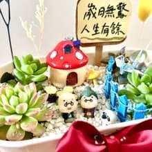 多肉組盆 多肉植物 日式枯山水 婚禮禮物 情人節 禮物 結婚紀念日