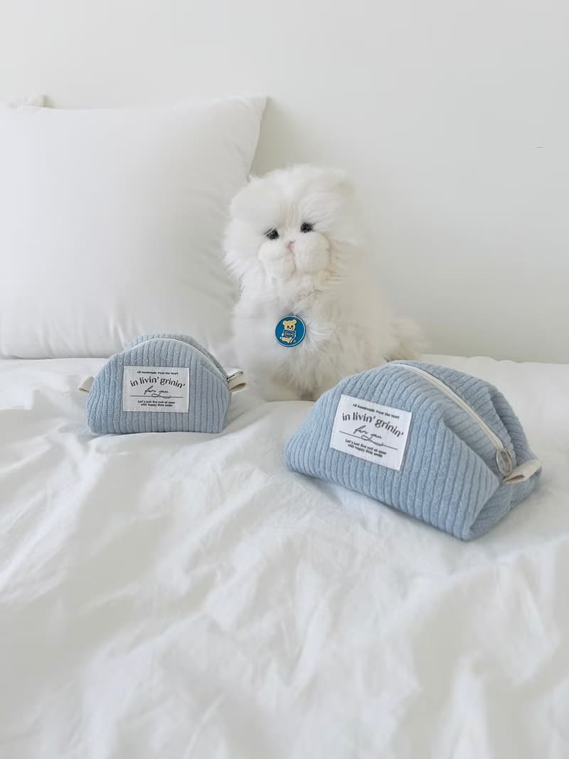 terry corduroy pouch S_baby blue