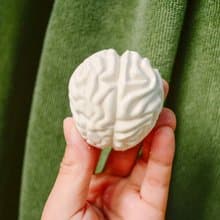 器官系列 腦袋瓜擴香石