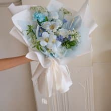 碎冰藍 鬱金香 非洲菊 鮮花花束/限台中地區