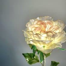 【誕生花燈】9月・英式玫瑰。小夜燈。生日禮物