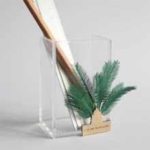 【立體植物貼紙】 琉球蘇鐵 (605012) FingerART紙雕紙藝術
