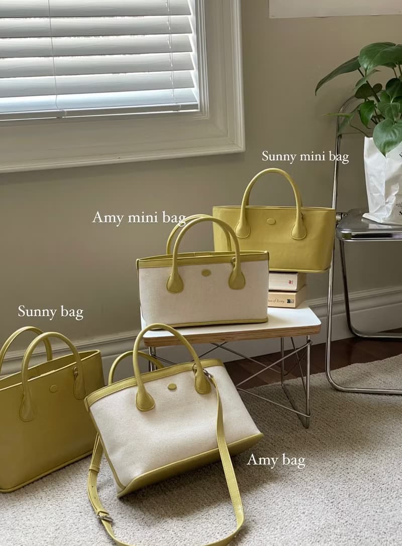 韓國 The Ally | Amy bag 에이미백 | 帆布質感包 (附小袋)