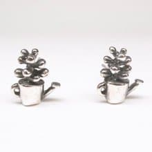 二毛銀【多肉植物系列─虹之玉-耳針】銀 or 金