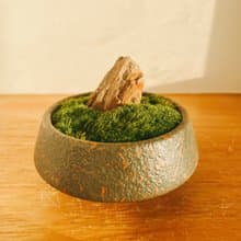 純自然 迷你 缽 山水青苔盆景 苔 石 盆栽 送禮 小物 微景觀