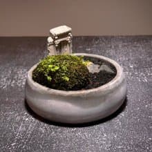 自然苔玉美學 –古厝 / 侘寂風 / 禪風 / 盆栽 / 擺飾
