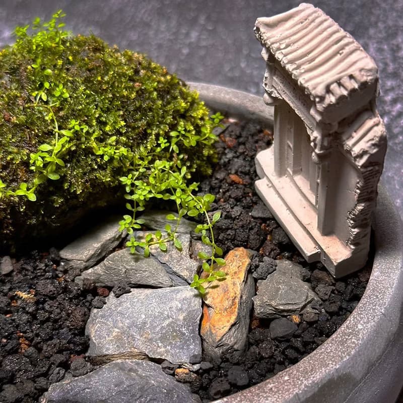自然苔玉美學 –古厝 / 侘寂風 / 禪風 / 盆栽 / 擺飾