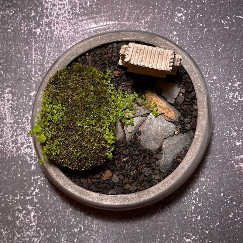 自然苔玉美學 –古厝 / 侘寂風 / 禪風 / 盆栽 / 擺飾