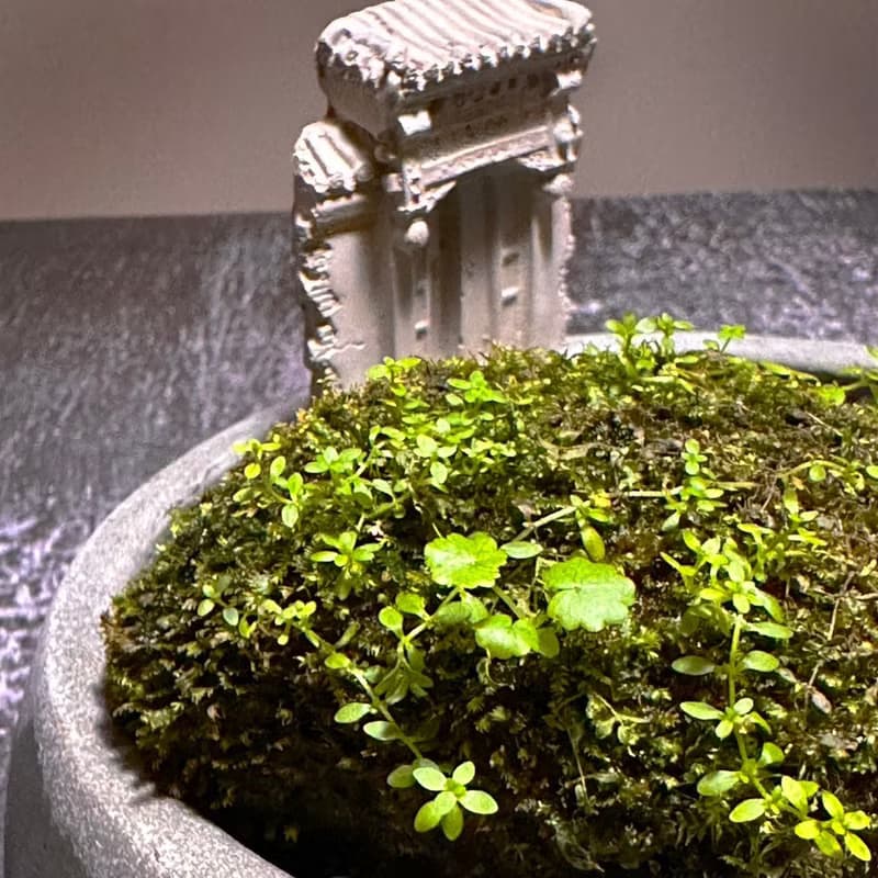 自然苔玉美學 –古厝 / 侘寂風 / 禪風 / 盆栽 / 擺飾