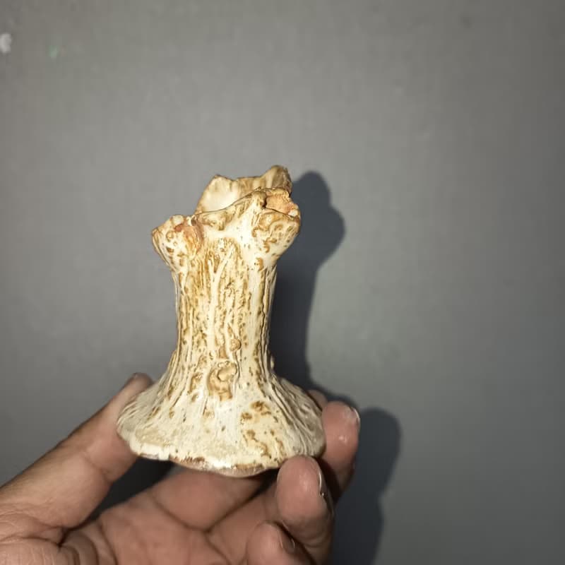 陶藝插畫家沖繩三線琴人手捏苦苓植生器擴香器