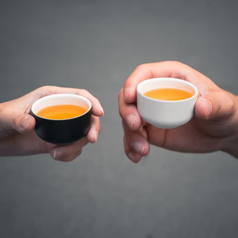 【初芳宇】NECTAR 茶杯-午夜黑