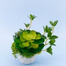 大寶石蓮枝芽多肉盆栽/擬真植物/人造盆栽/綠化/佈置/禮物
